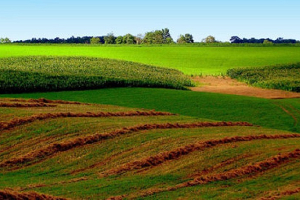 Land